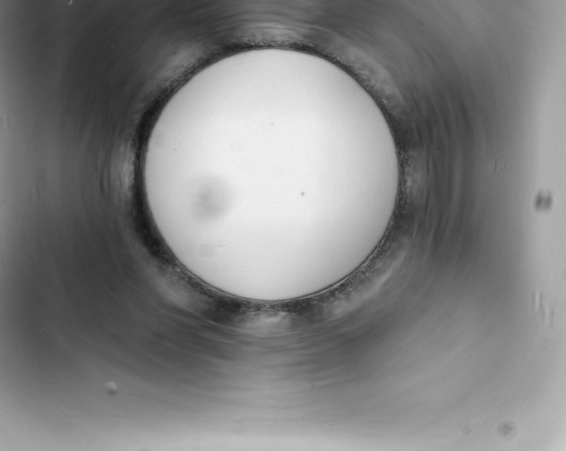 X0000103300206200809191902