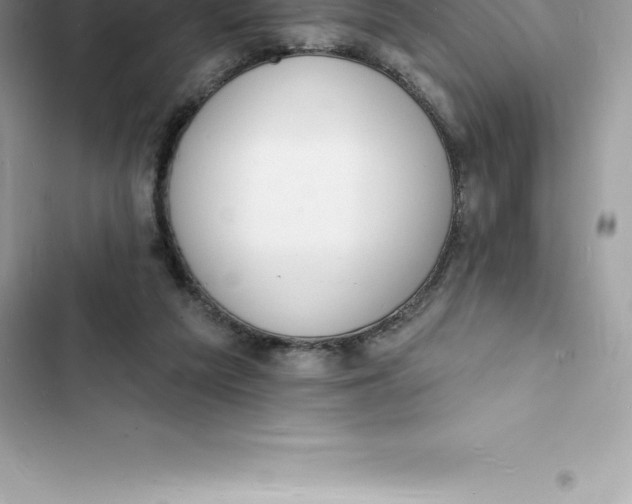 X0000103300209200809191902