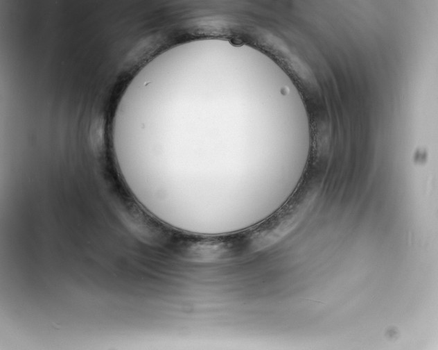 X0000103300213200809191902