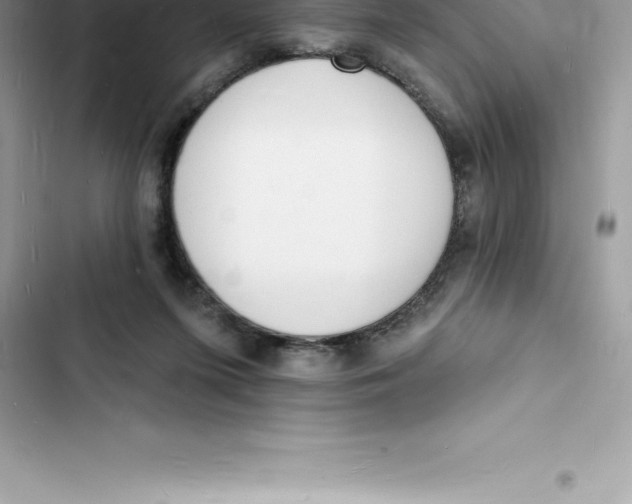 X0000103300215200809191902