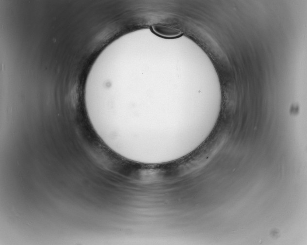 X0000103300216200809191902