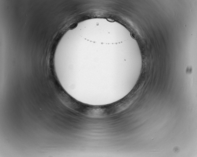 X0000103300217200809191902