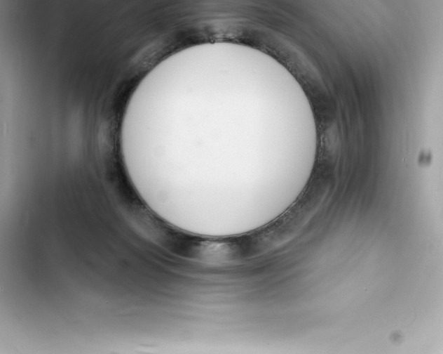 X0000103300218200809191902