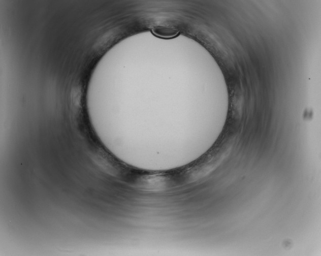 X0000103300219200809191902