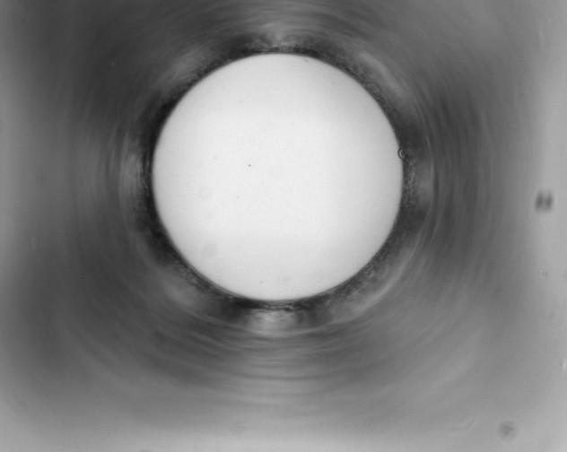 X0000103300220200809191902