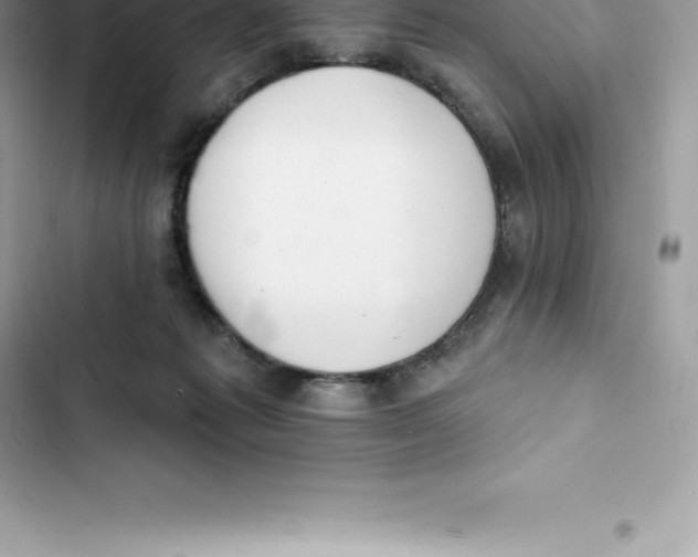 X0000103300221200809191902