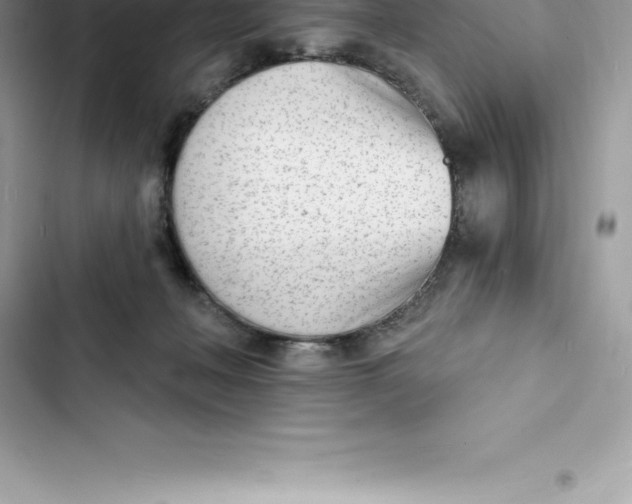 X0000103300222200809191902