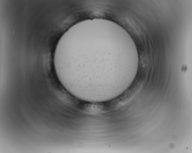 X0000103300223200809191902