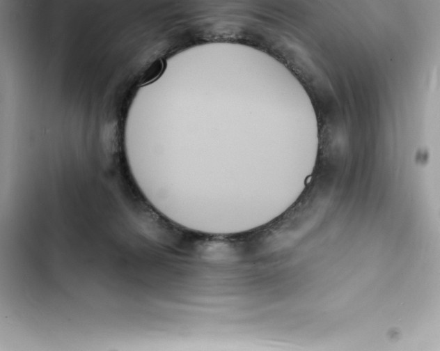 X0000103300224200809191902