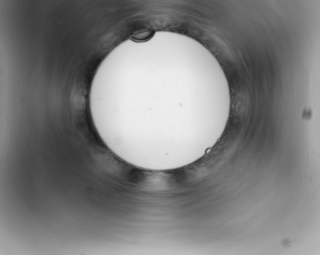 X0000103300226200809191902