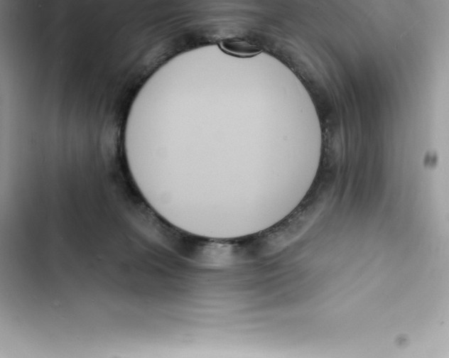 X0000103300227200809191902