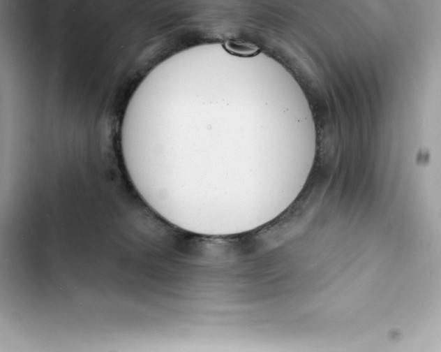 X0000103300229200809191902