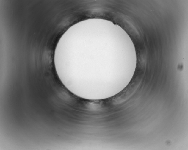 X0000103300232200809191902