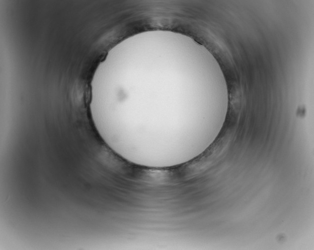 X0000103300233200809191902