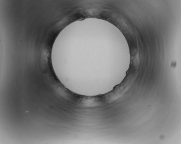 X0000103300235200809191902