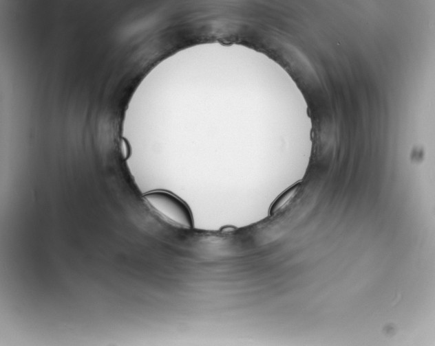 X0000103300236200809191902