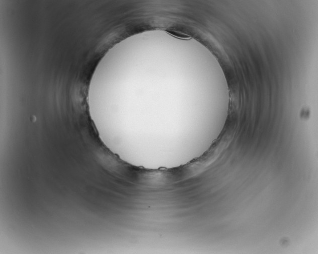 X0000103300237200809191902