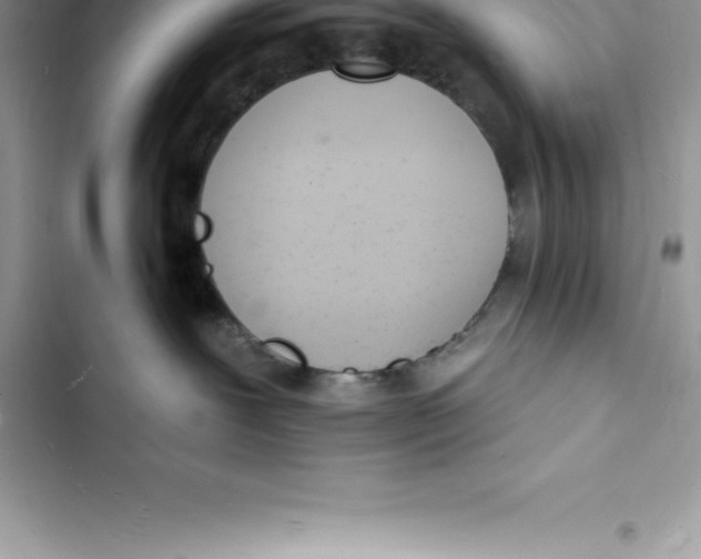 X0000103300239200809191902