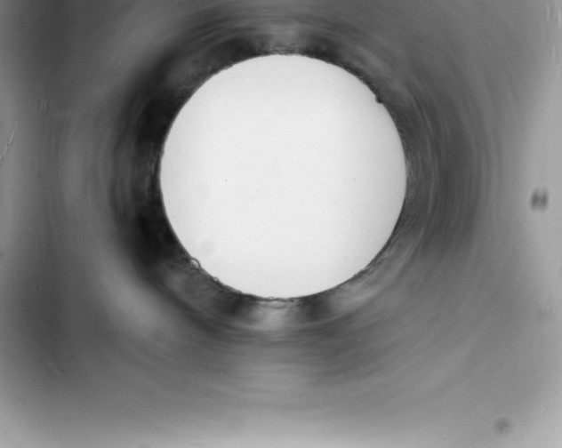 X0000103300240200809191902