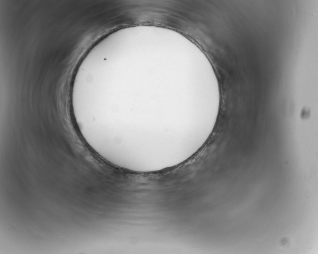 X0000103300241200809191901