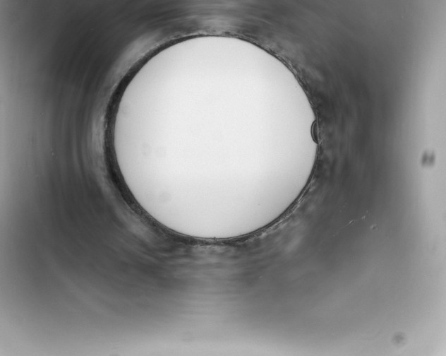 X0000103300242200809191901