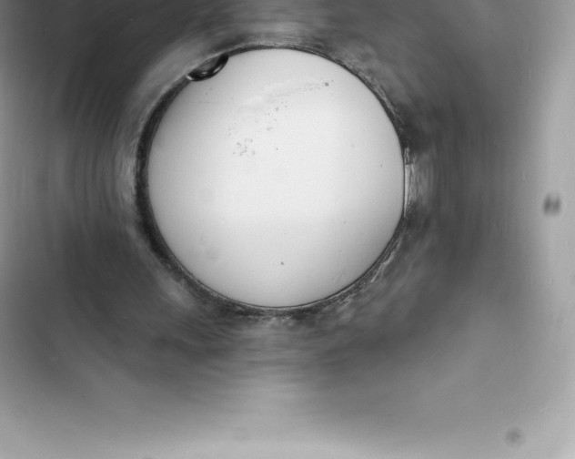 X0000103300243200809191901