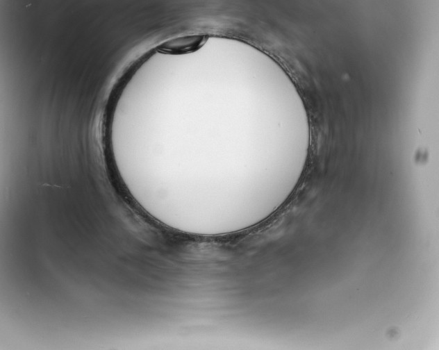 X0000103300244200809191901