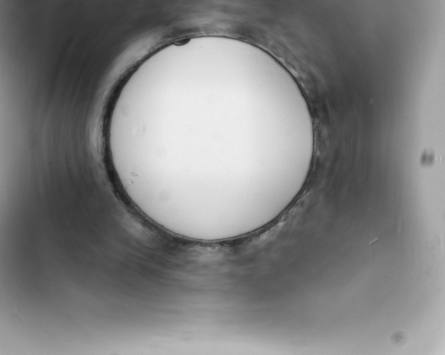 X0000103300245200809191901