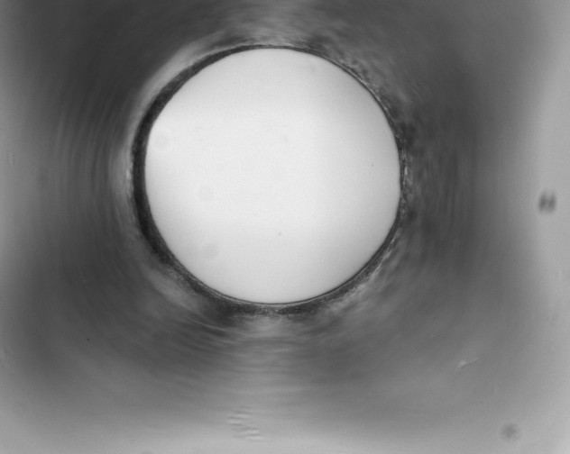 X0000103300246200809191901