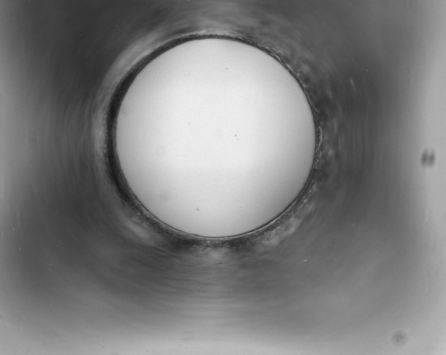 X0000103300247200809191901