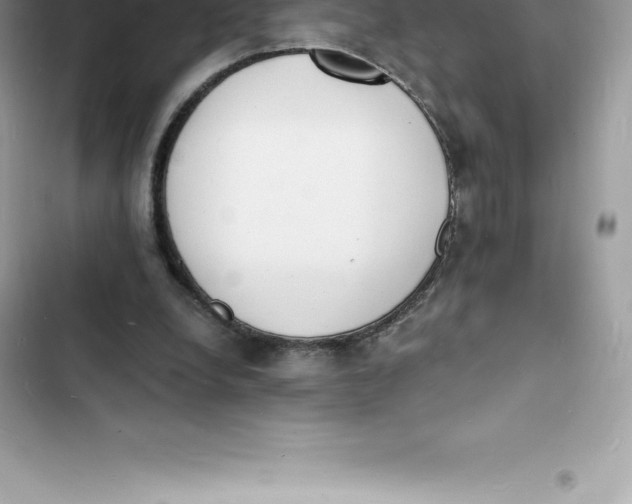 X0000103300248200809191901