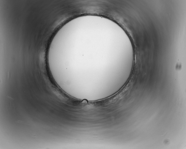 X0000103300249200809191901