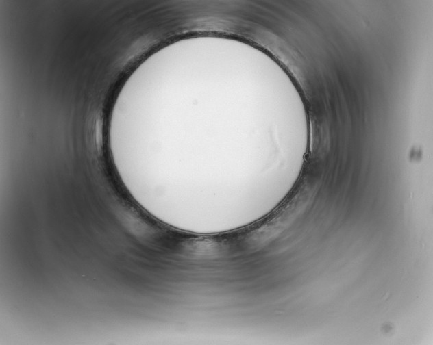 X0000103300253200809191901