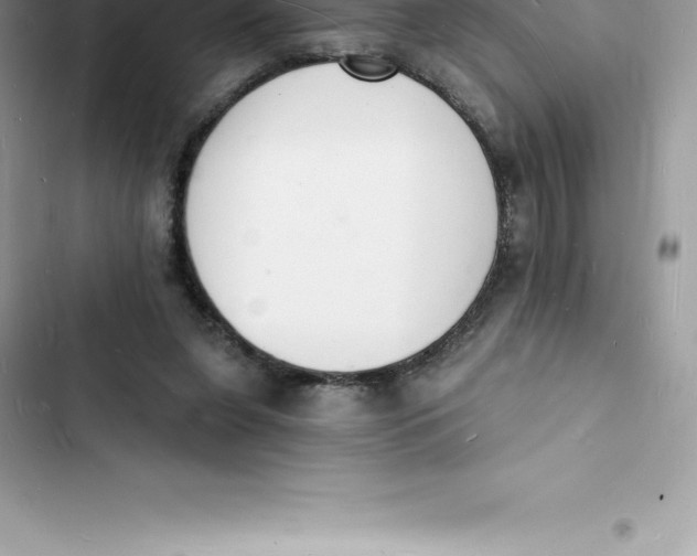 X0000103300255200809191901