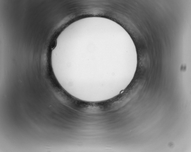 X0000103300256200809191901