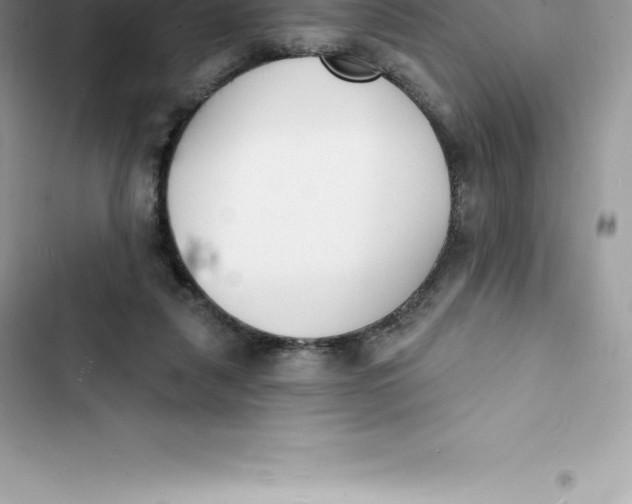 X0000103300259200809191901