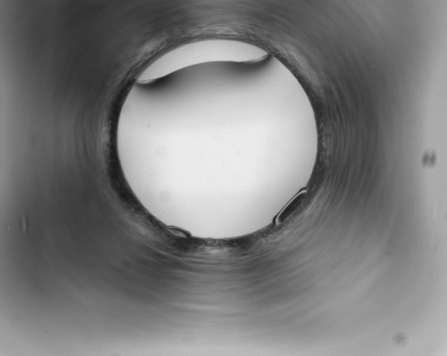 X0000103300260200809191901