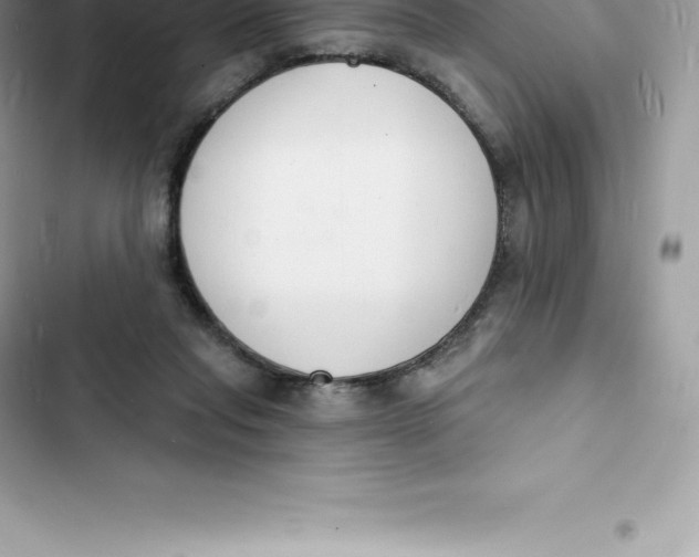 X0000103300261200809191901