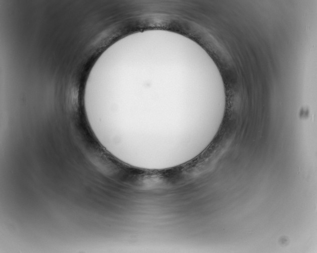 X0000103300262200809191901