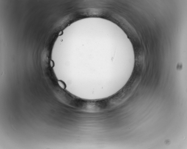 X0000103300264200809191901