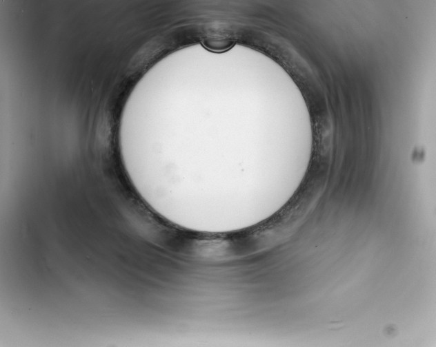 X0000103300266200809191901