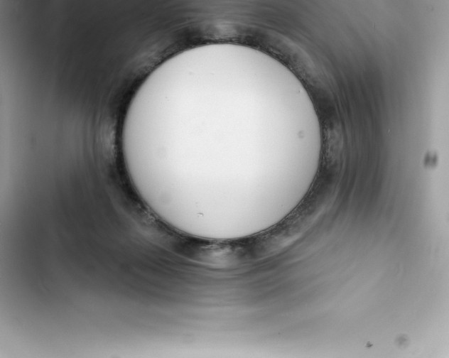 X0000103300267200809191901