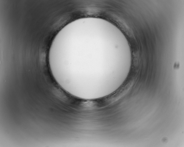 X0000103300269200809191901