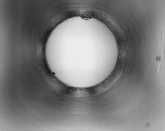 X0000103300270200809191901