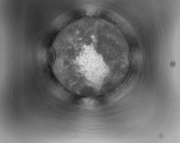 X0000103300272200809191901