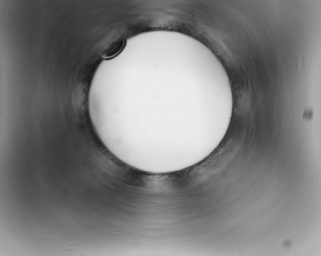 X0000103300273200809191901