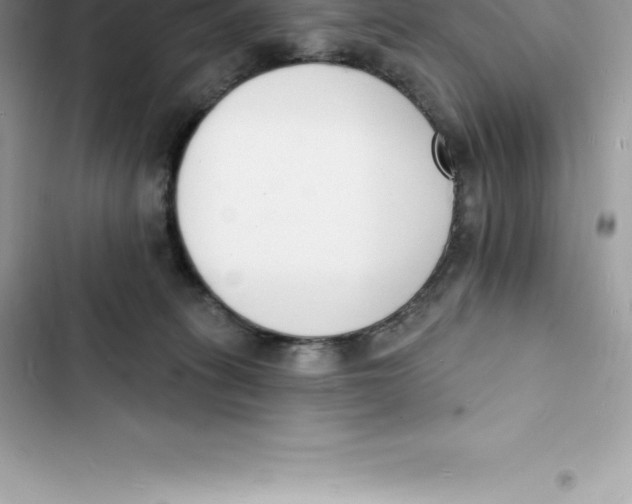 X0000103300275200809191901