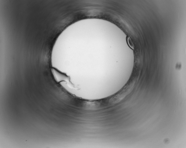 X0000103300277200809191901