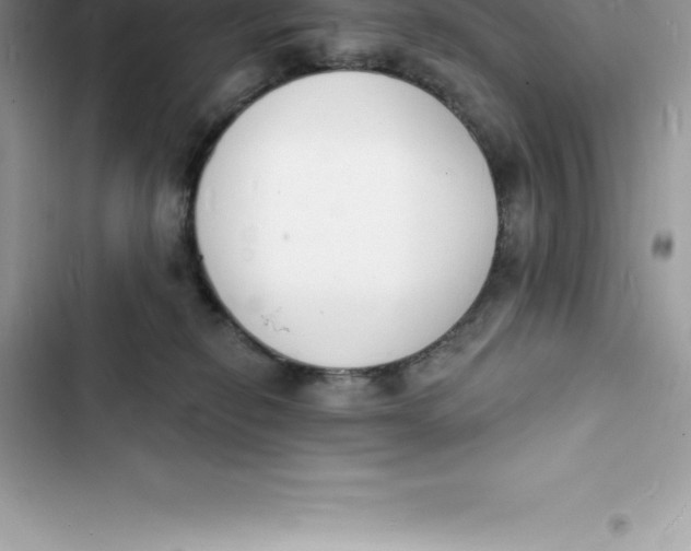 X0000103300278200809191901