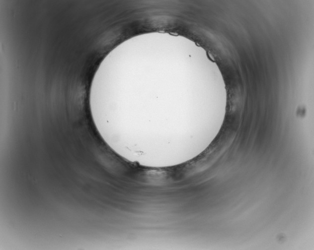 X0000103300279200809191901